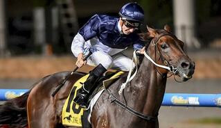Bassett (NZ) Strikes Again in Hareeba Stakes. Photo: Race Images.